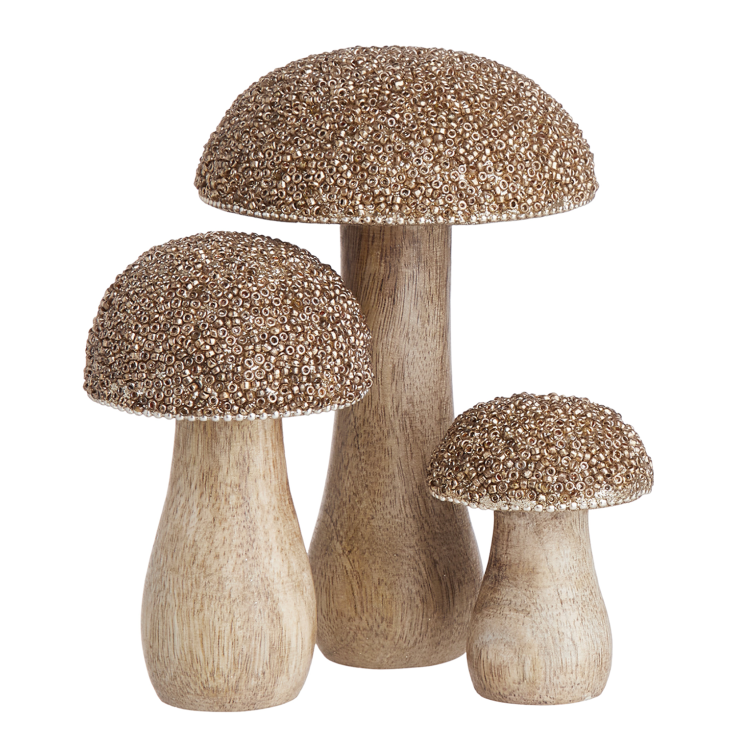 HARVEST LOVE ciuperca cu perle | 10cm