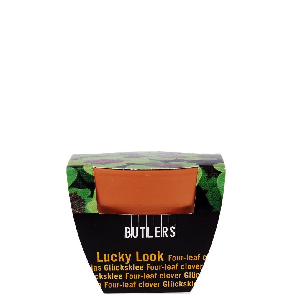 LUCKY LOOK trifoi norocos in ghiveci verde