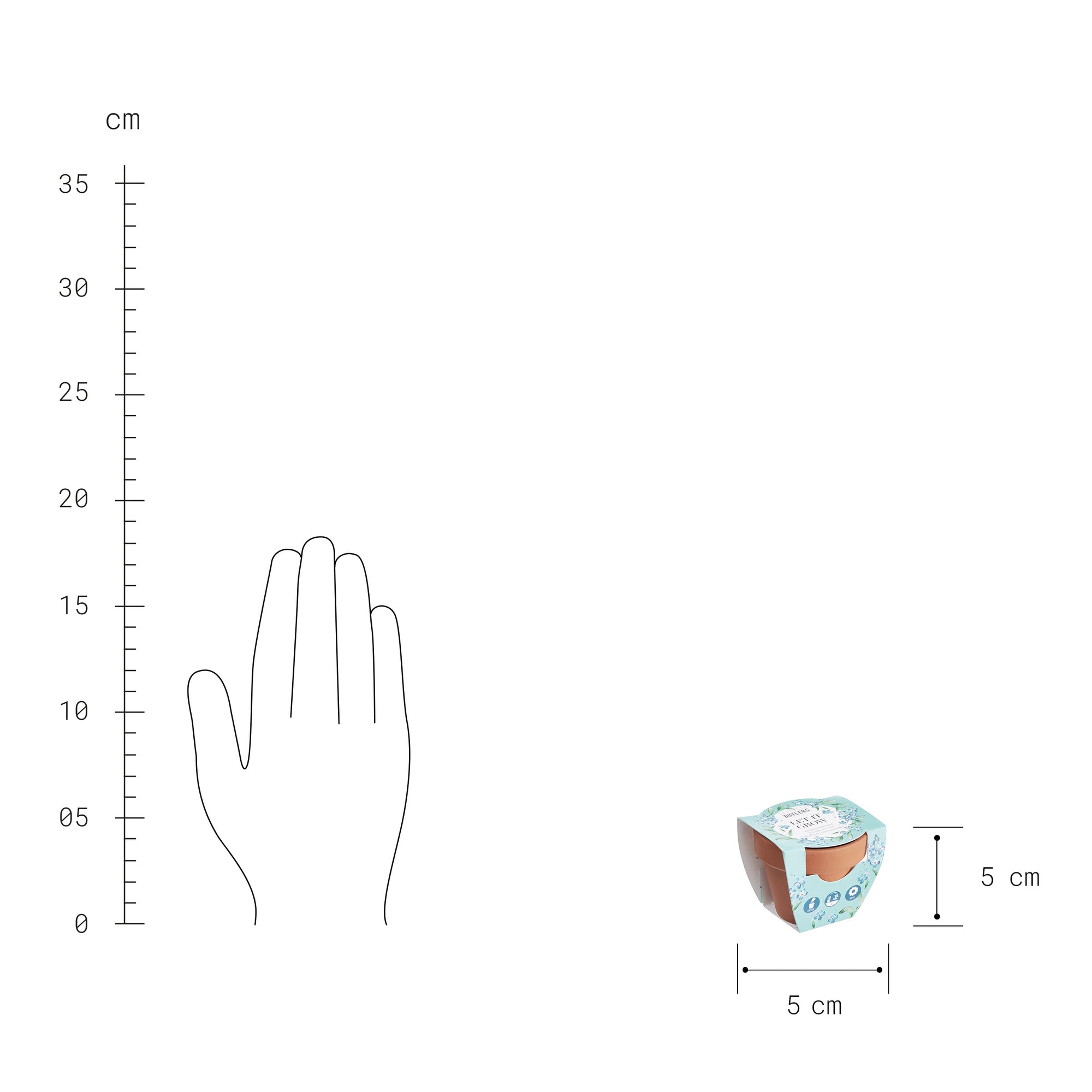 LET IT GROW seminte de floarea-soarelui