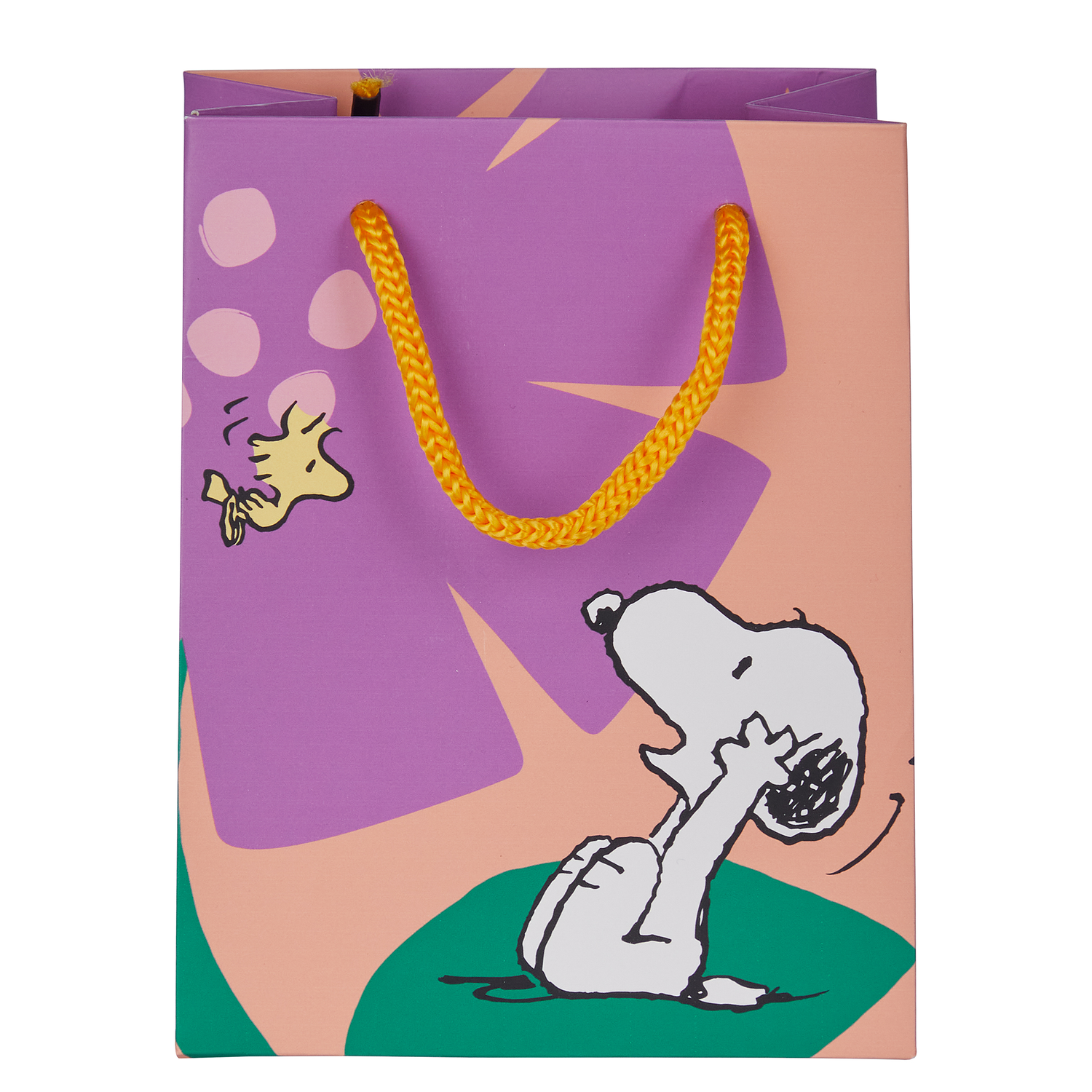 PEANUTS mini punga cadou caisa