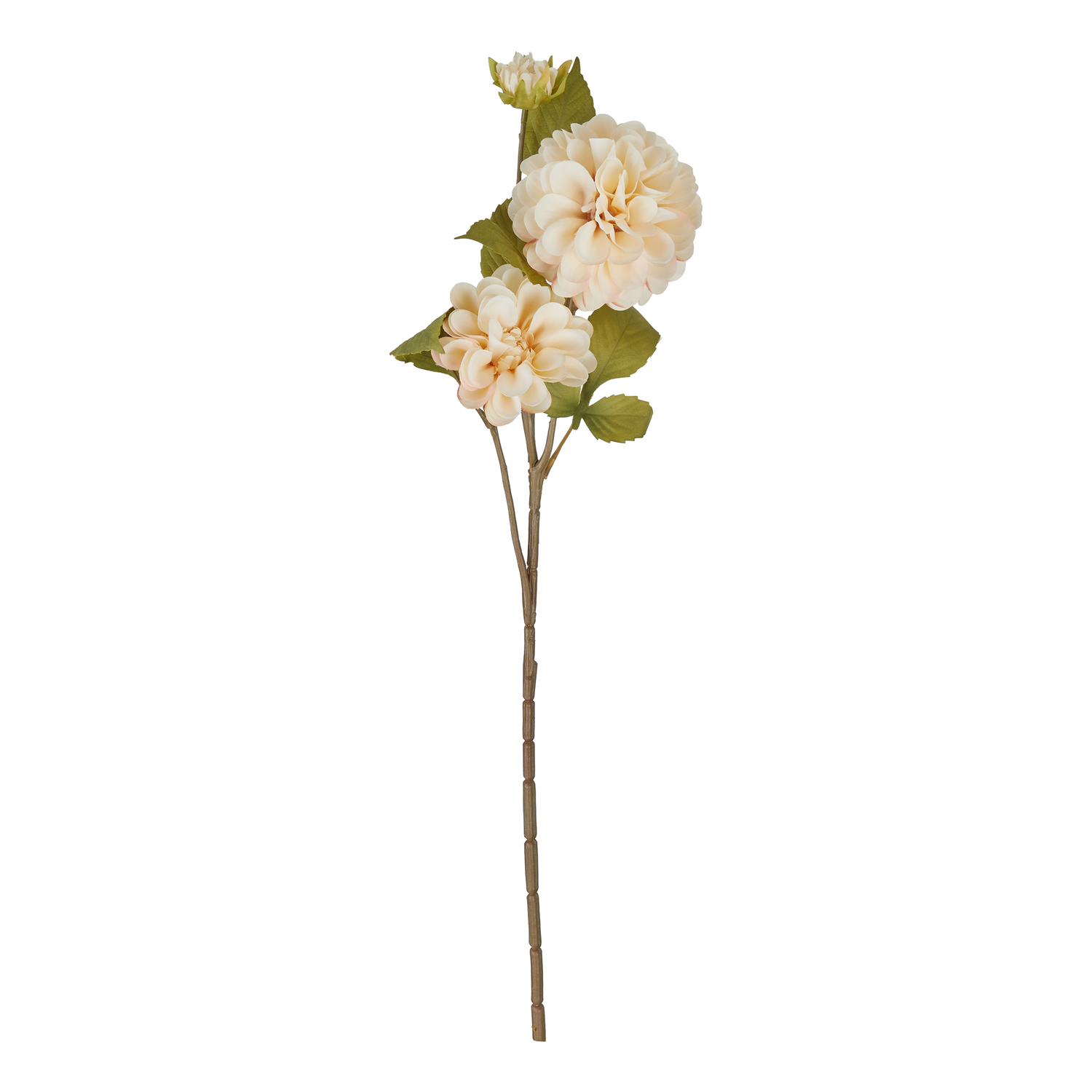 FLORISTA crizantema 63cm crem