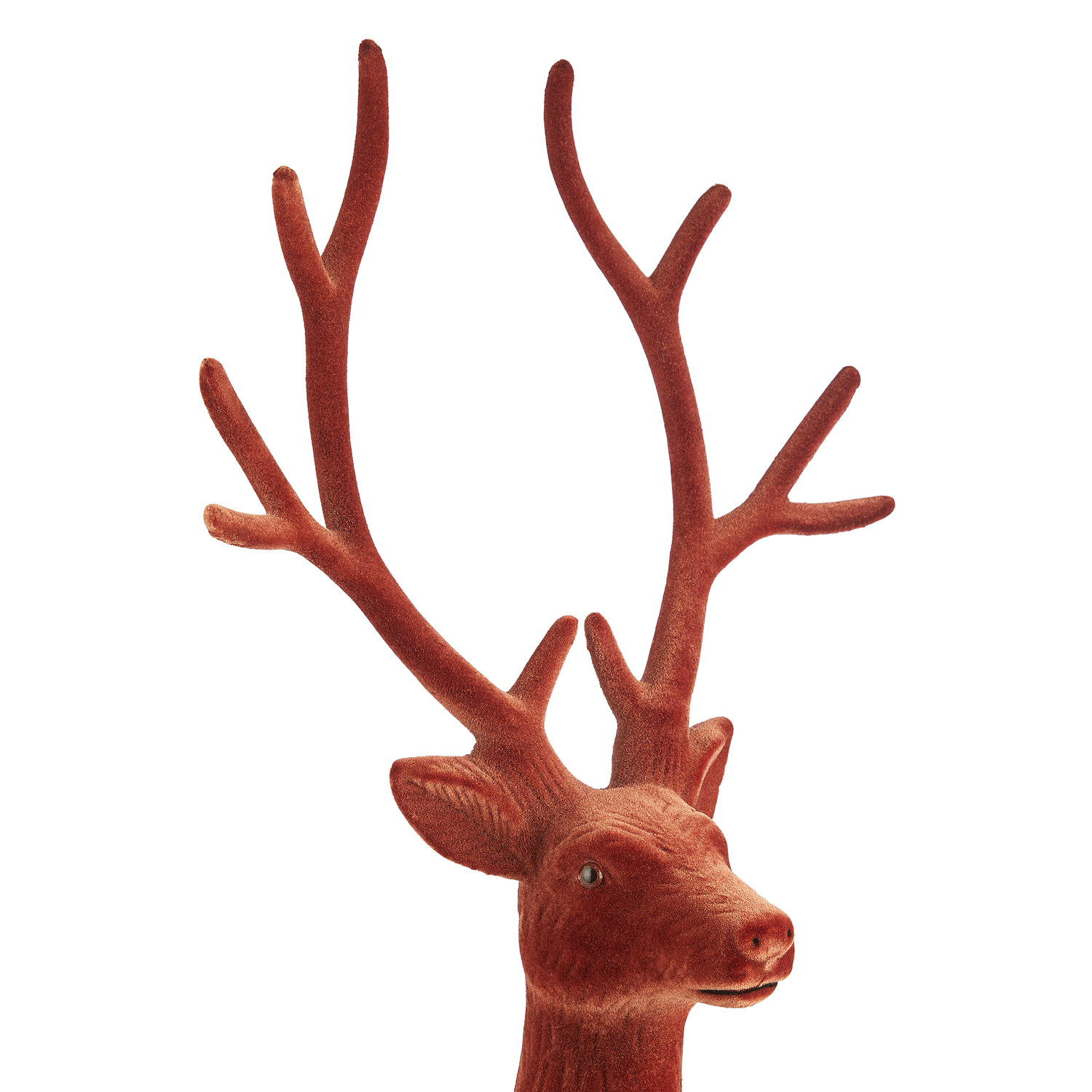 X-MAS ren catifelat, maro