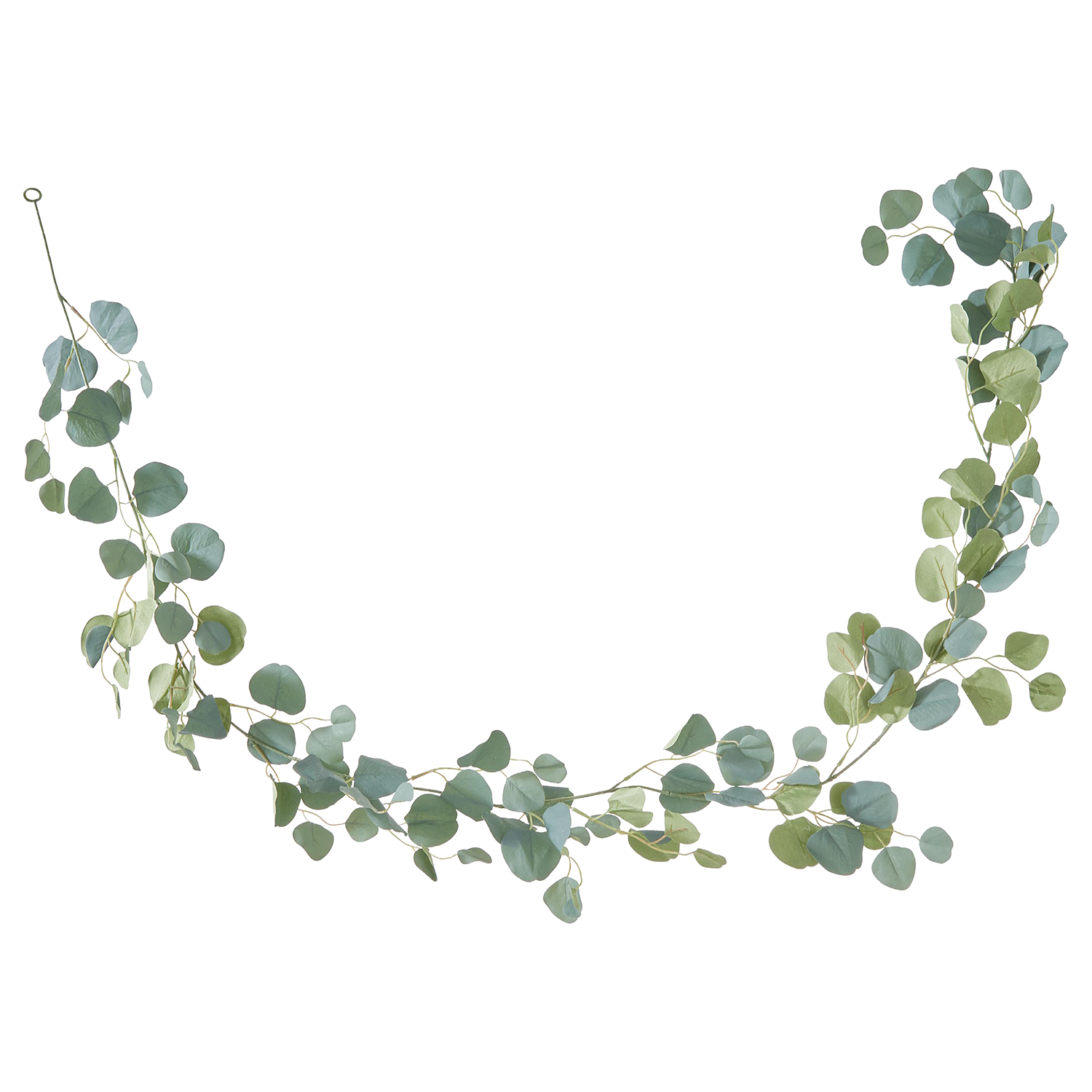 FLORISTA ghirlanda de eucalipt 180cm