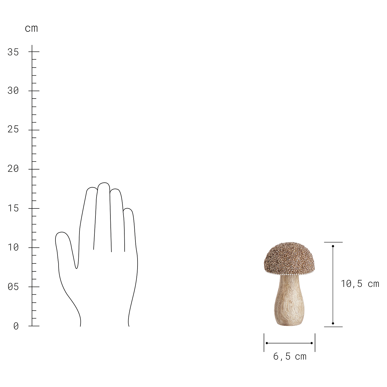 HARVEST LOVE ciuperca cu perle | 10cm