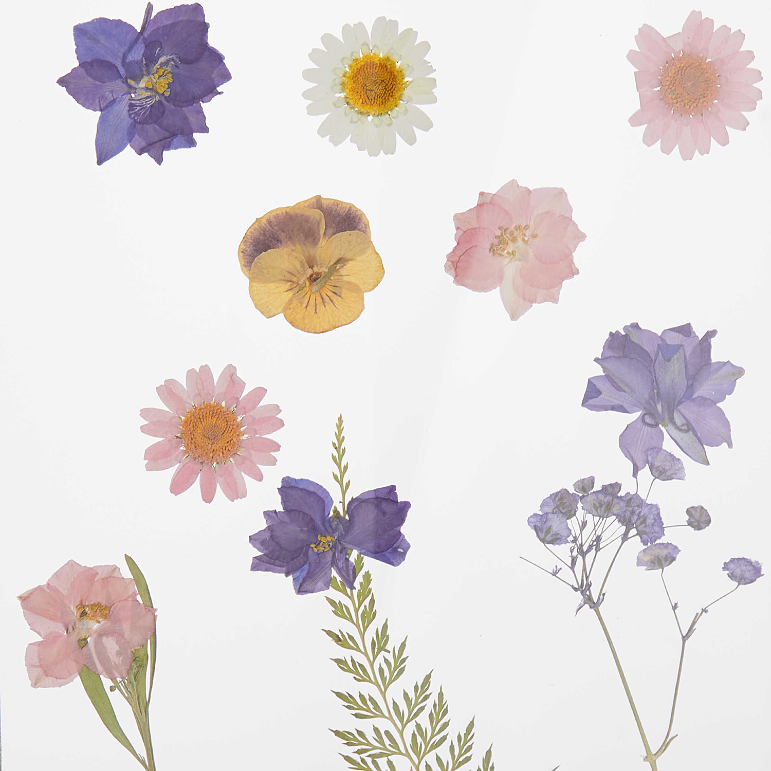 TRUE BLOOM rama foto | 15x20cm