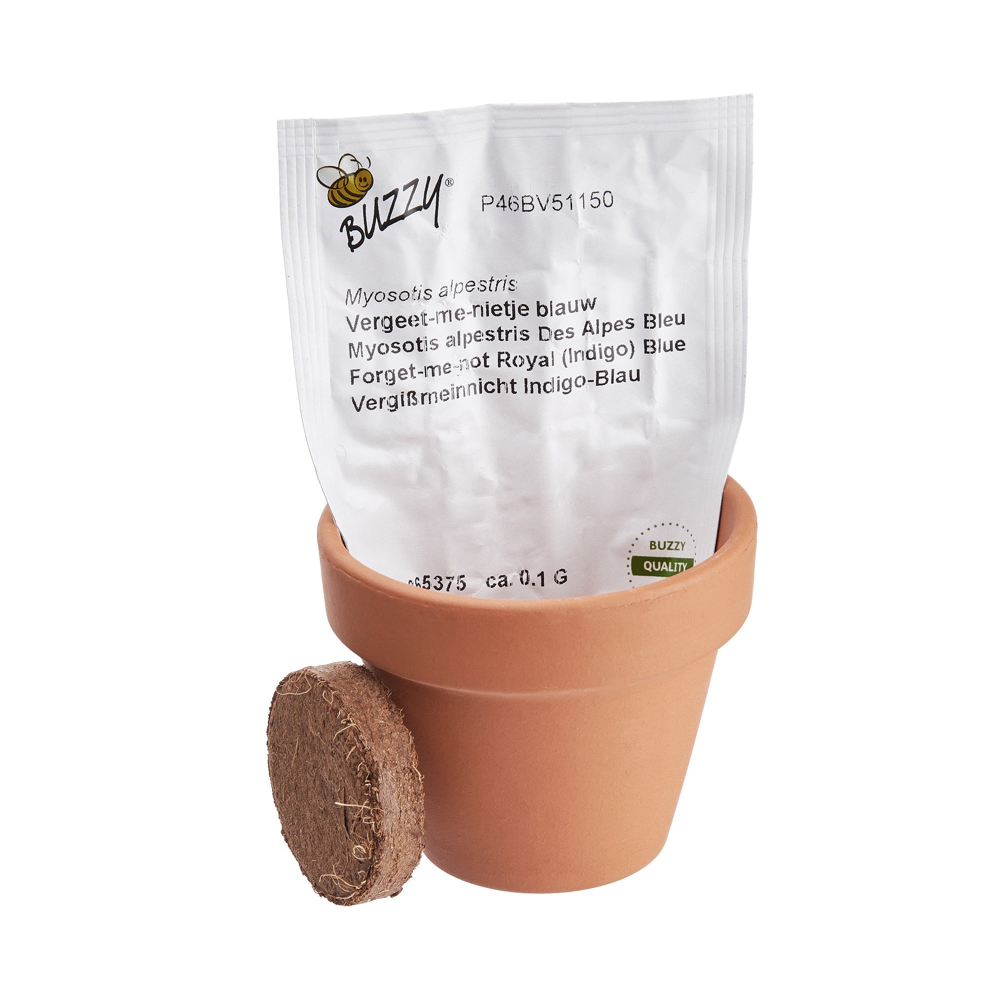 LET IT GROW seminte de floarea-soarelui