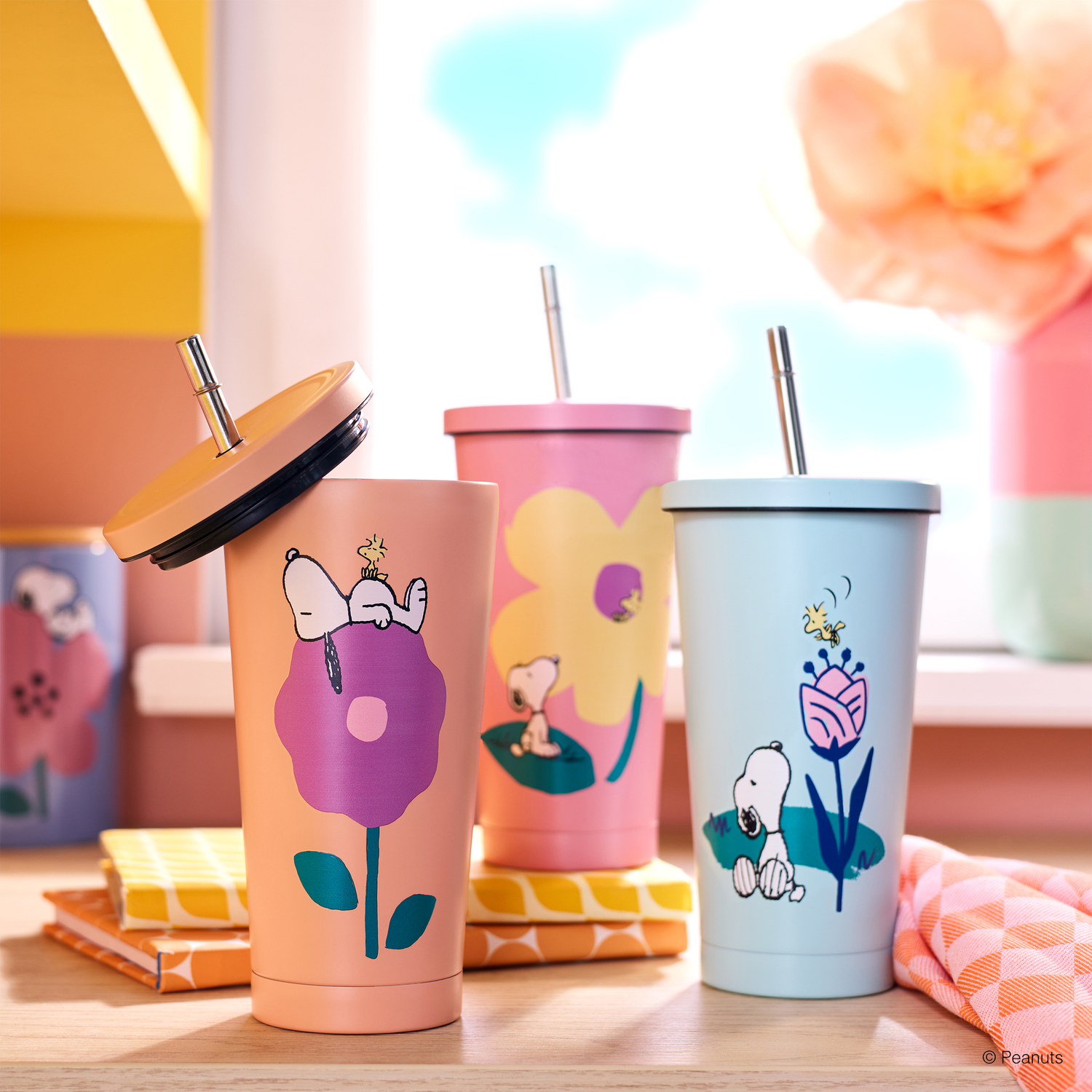 PEANUTS pahar ss 500 ml, caisa