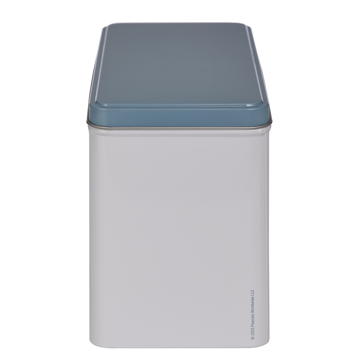 PEANUTS cutie metalica pentru biscuiti Camp Life