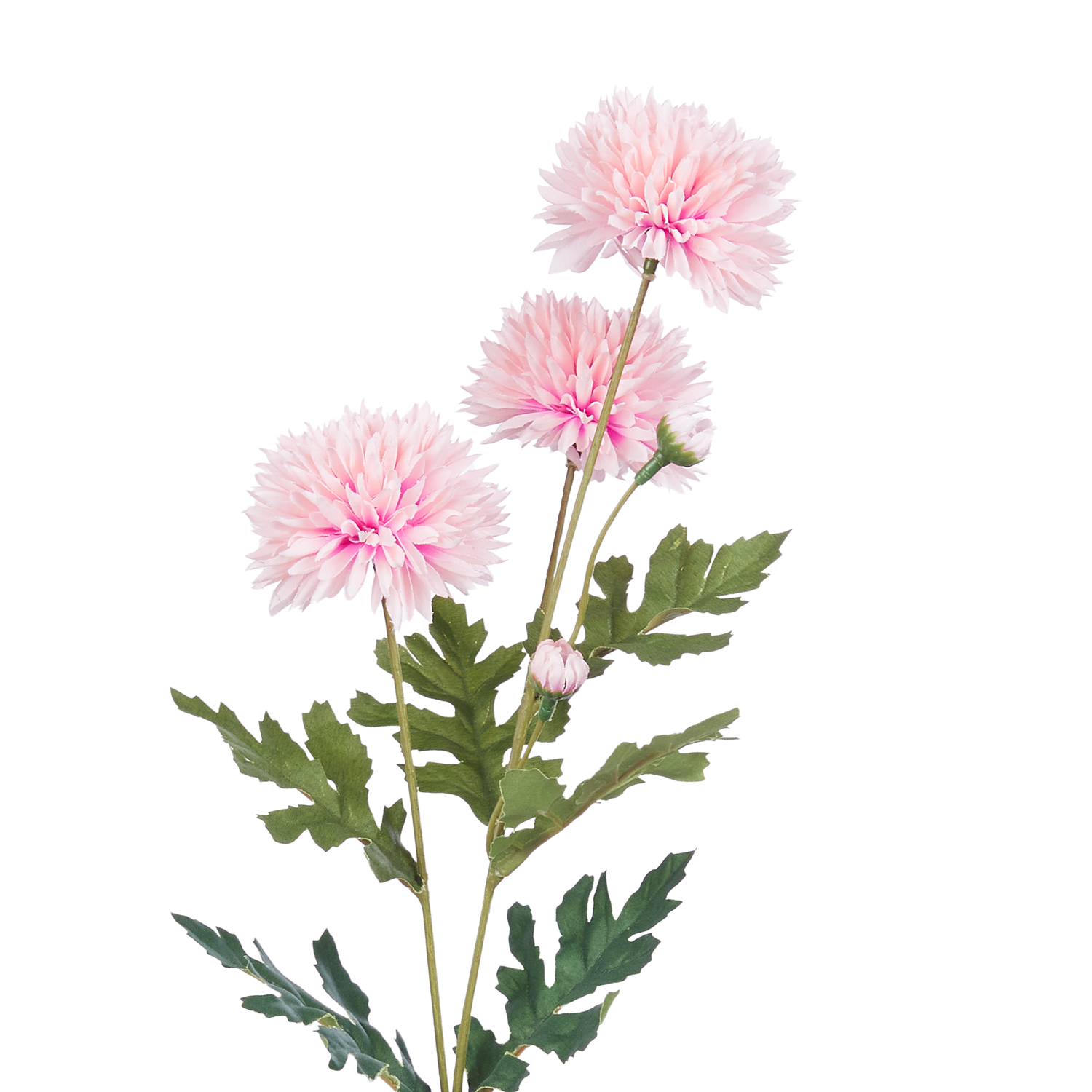 FLORISTA crizantema mini roz pal