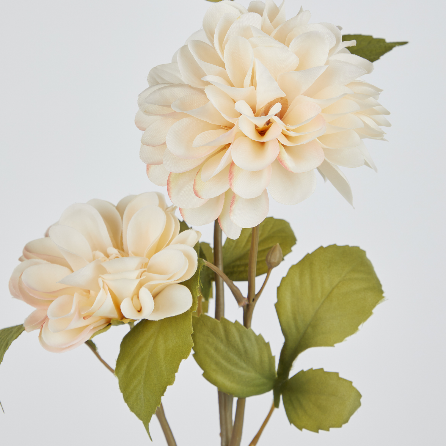 FLORISTA crizantema 63cm crem