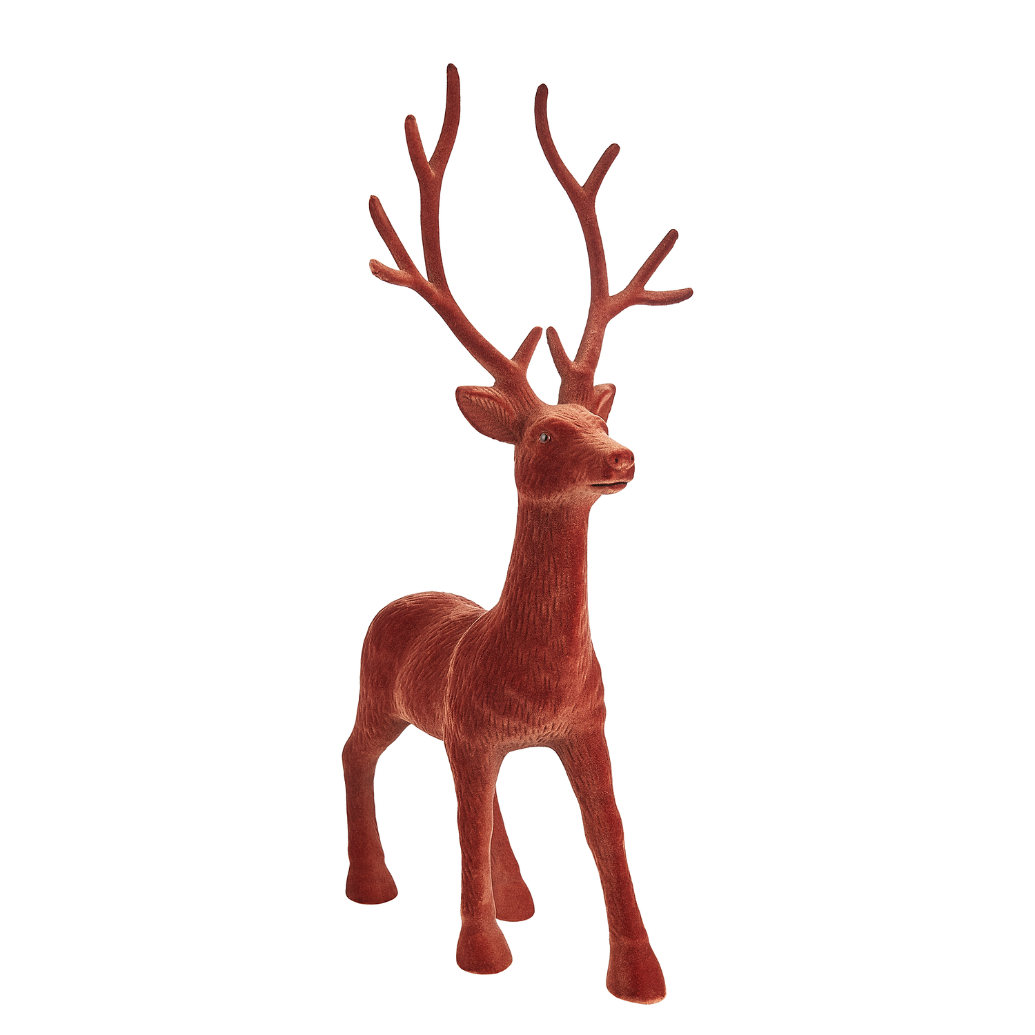 X-MAS ren catifelat, maro